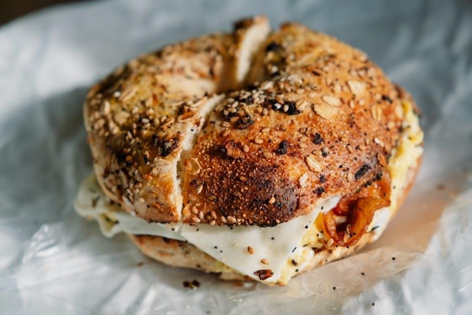 bagel bites toaster oven instructions