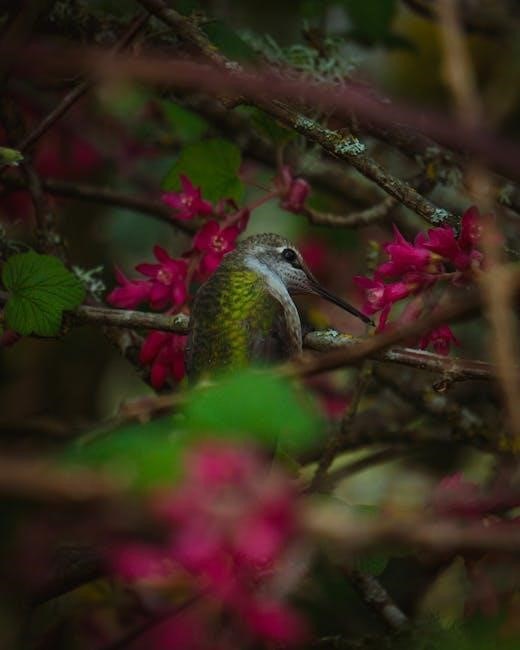 oregon game bird regulations pdf
