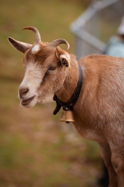 animal farm summary pdf