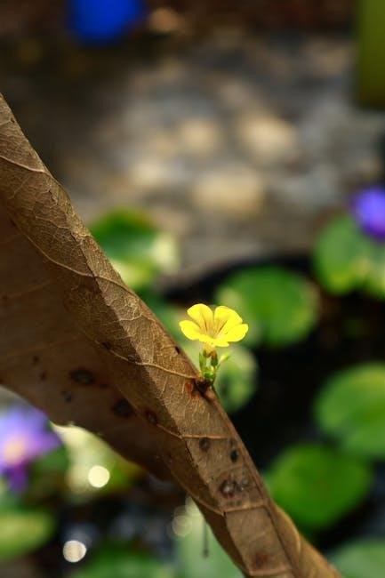 pond armor instructions