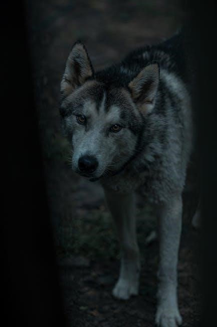 bachelorette scavenger hunt pdf